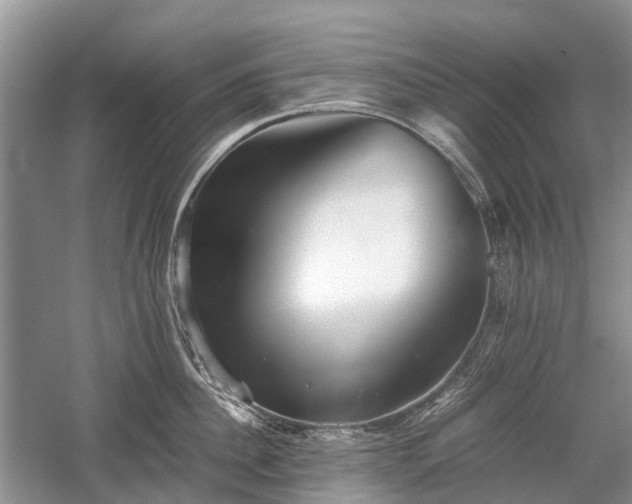 X0000059800956200510241326