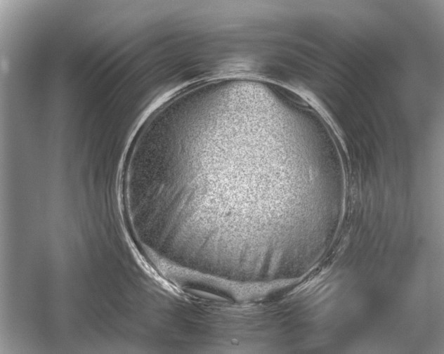 X0000059800957200510241326