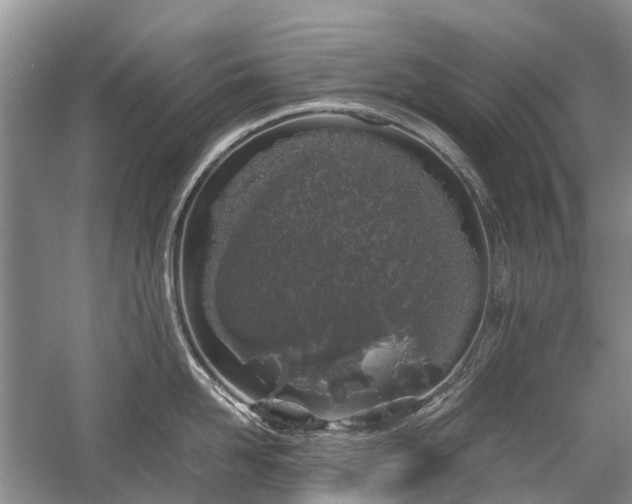 X0000059800958200510241326