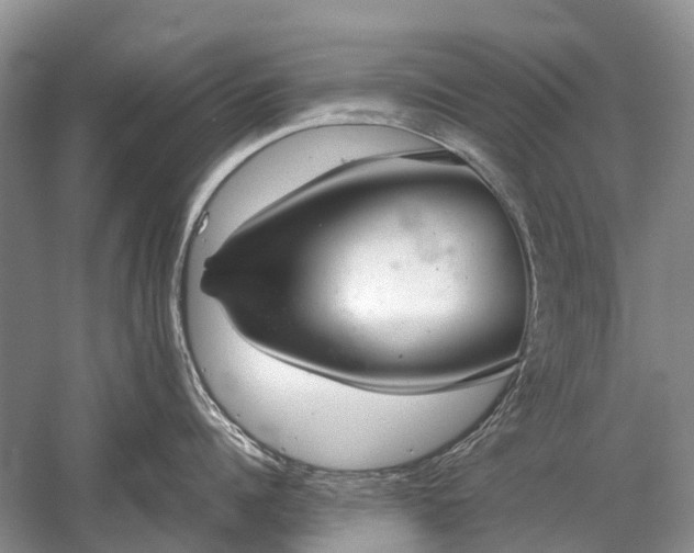 X0000059800960200510241326