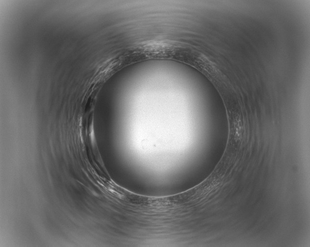 X0000059800964200510241325