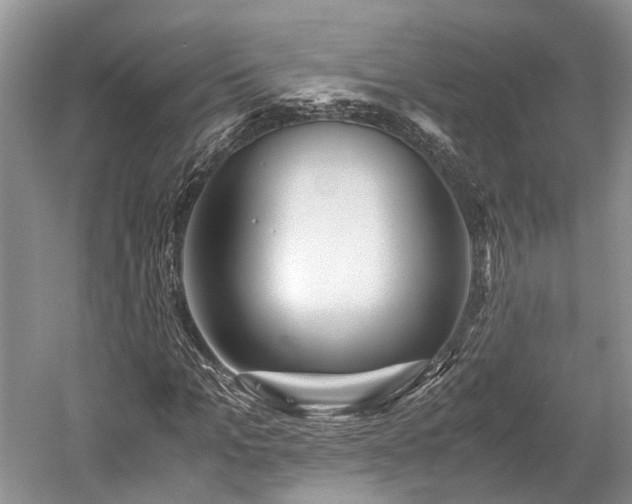 X0000059800965200510241325