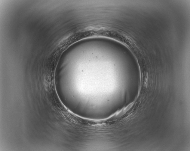 X0000059800966200510241325