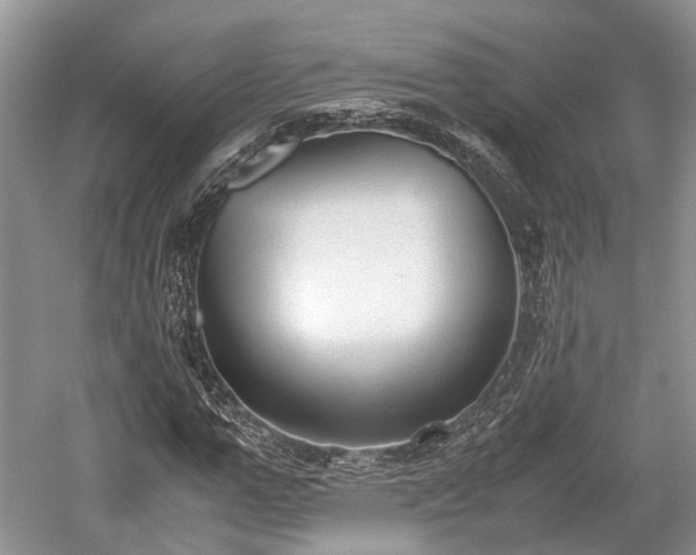 X0000059800967200510241325