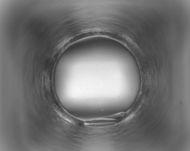 X0000059800969200510241325