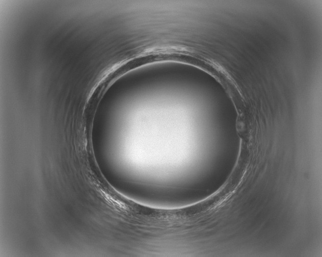 X0000059800973200510241325