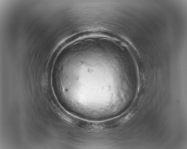 X0000059800975200510241325