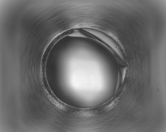 X0000059800976200510241325