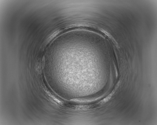 X0000059800977200510241325