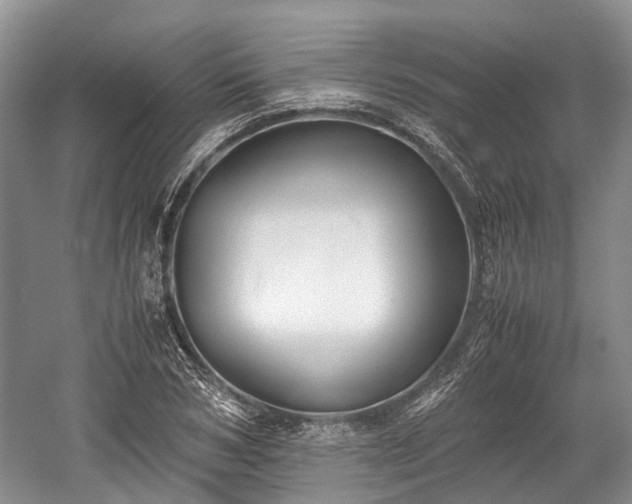 X0000059800978200510241325