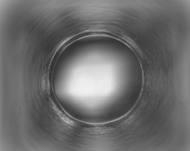 X0000059800980200510241325