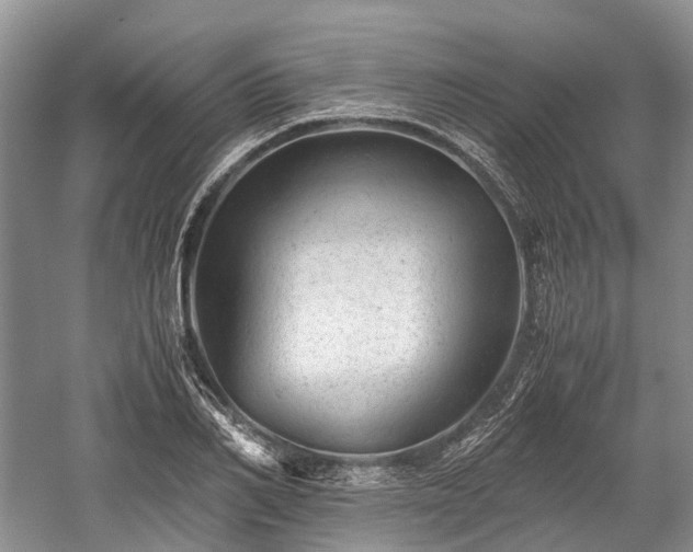 X0000059800982200510241325