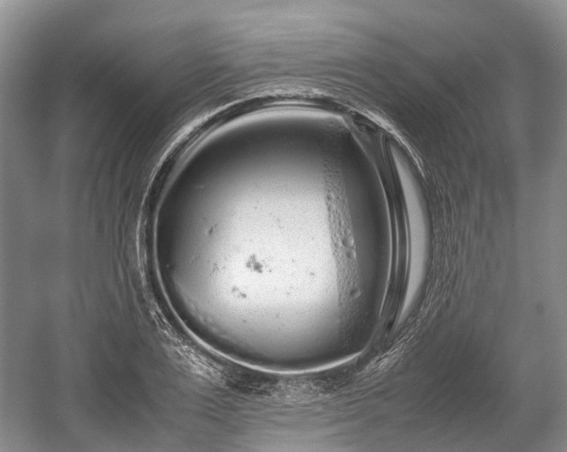 X0000059800983200510241324