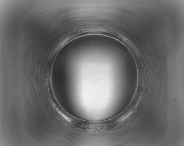 X0000059800985200510241324