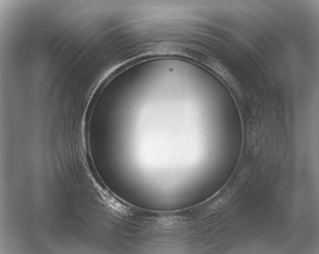 X0000059800988200510241324