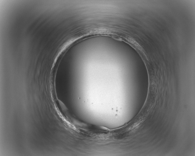 X0000059800989200510241324