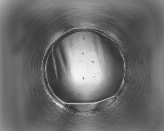 X0000059800990200510241324