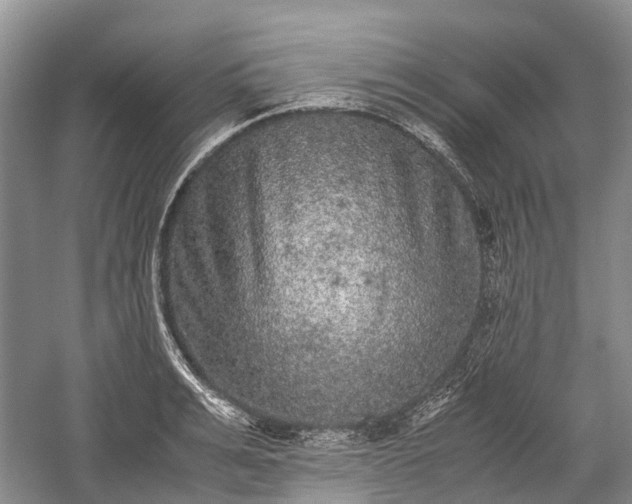 X0000059800991200510241324