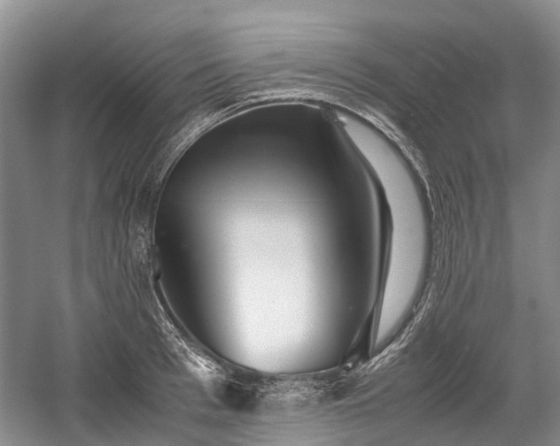 X0000059800993200510241324