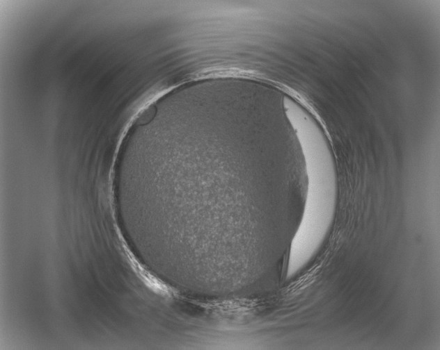 X0000059800995200510241324