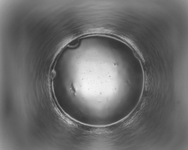 X0000059800998200510241324