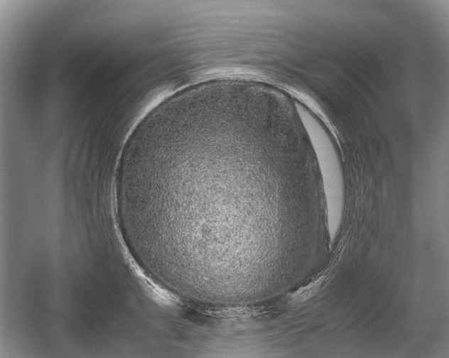 X0000059800999200510241324