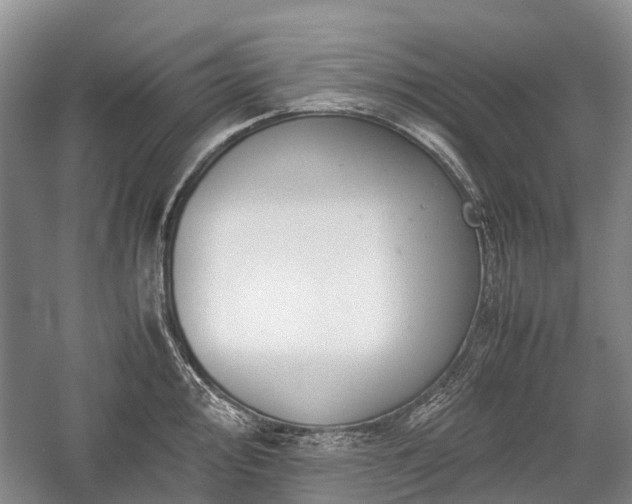 X0000059801000200510241324