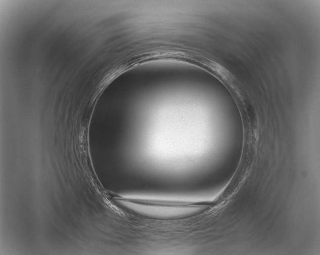 X0000059801001200510241324