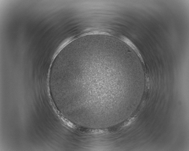 X0000059801002200510241324