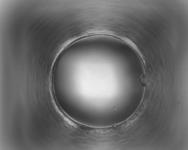 X0000059801005200510241324