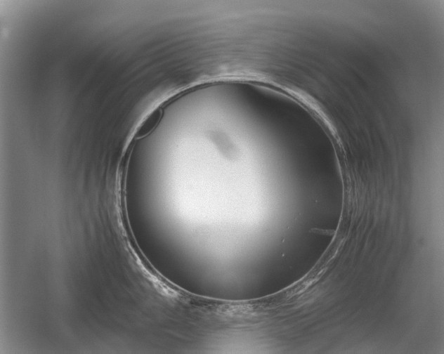 X0000059801006200510241324