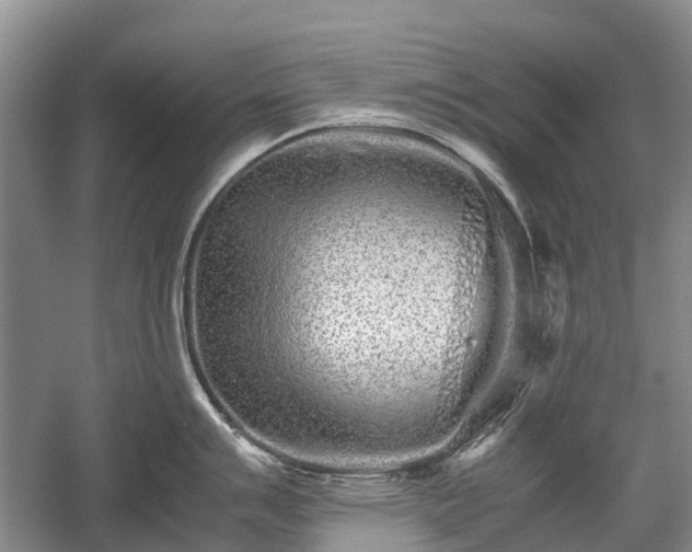 X0000059801007200510241324