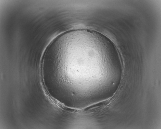 X0000059801008200510241324