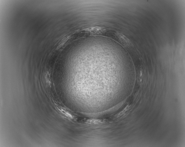 X0000059801010200510241323