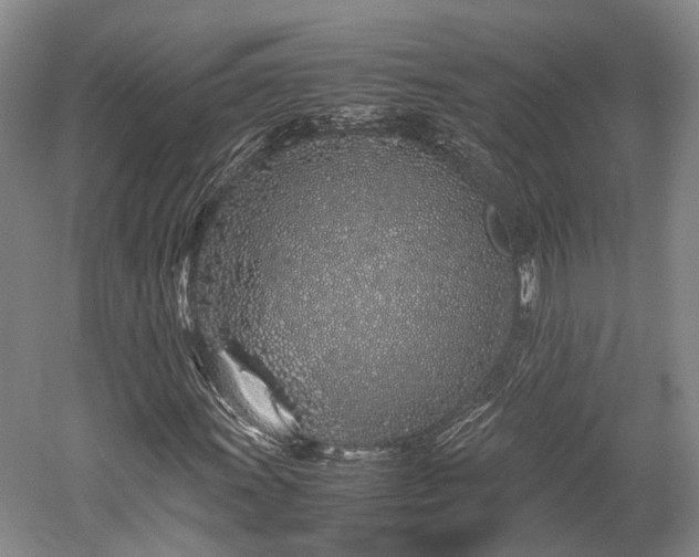 X0000059801011200510241323