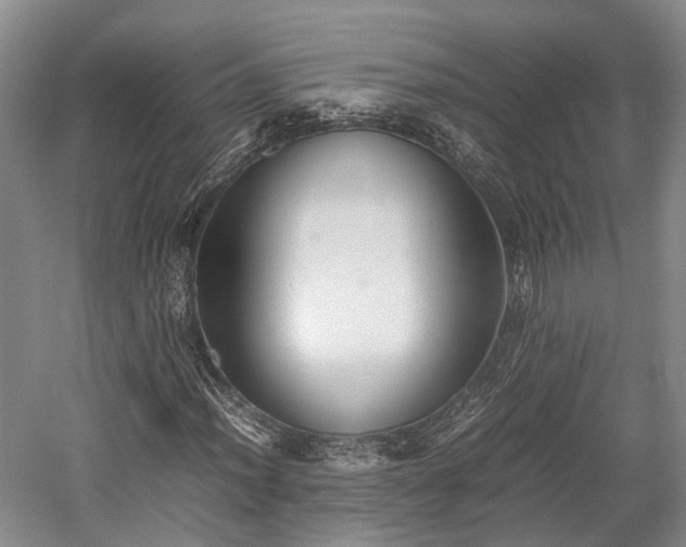 X0000059801012200510241323