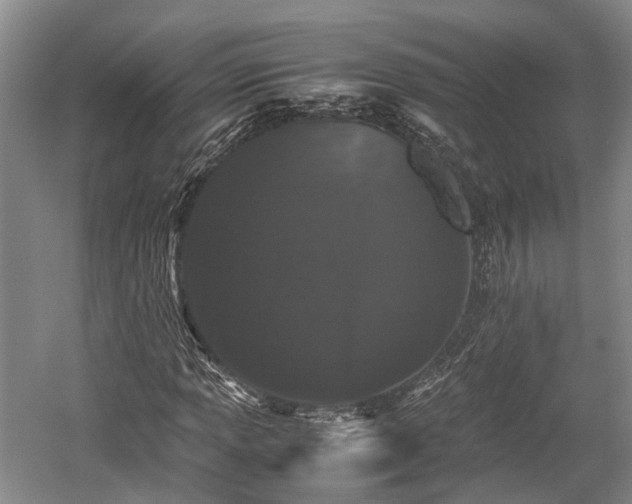 X0000059801013200510241323