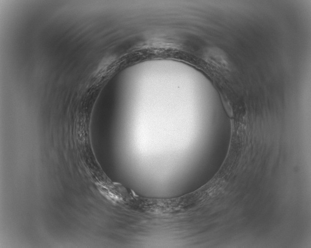 X0000059801014200510241323