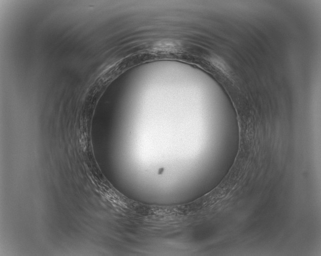 X0000059801015200510241323