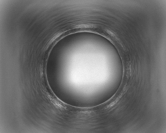 X0000059801017200510241323