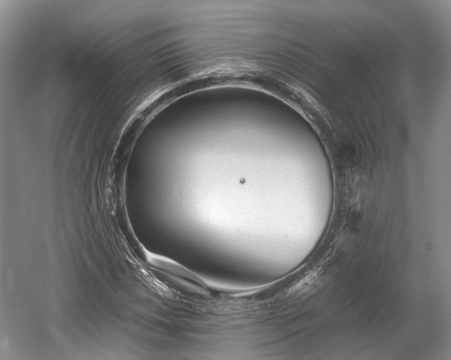 X0000059801018200510241323