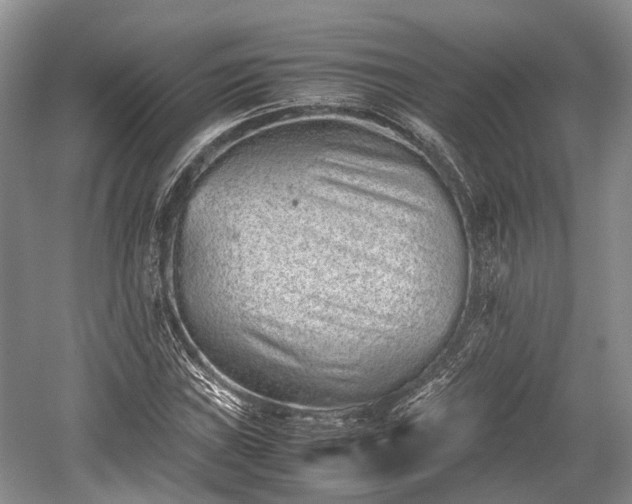 X0000059801019200510241323