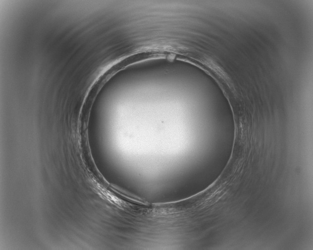 X0000059801020200510241323