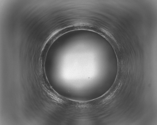 X0000059801021200510241323