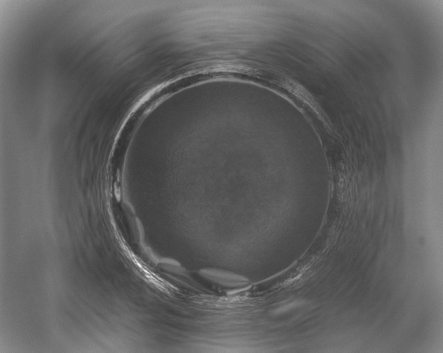 X0000059801024200510241323