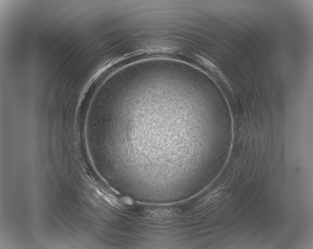 X0000059801027200510241324