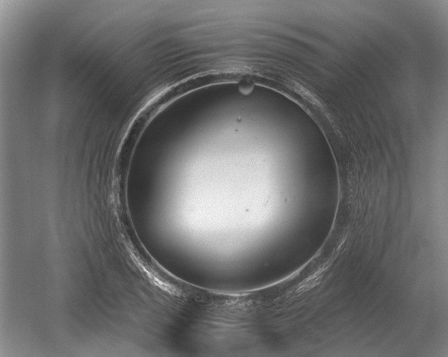 X0000059801029200510241324