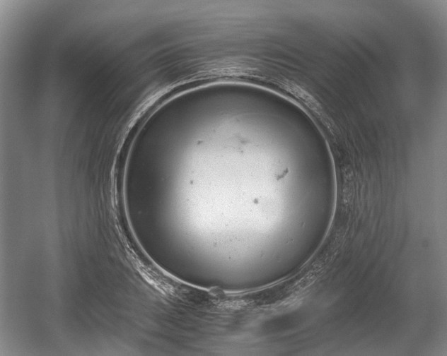 X0000059801031200510241324