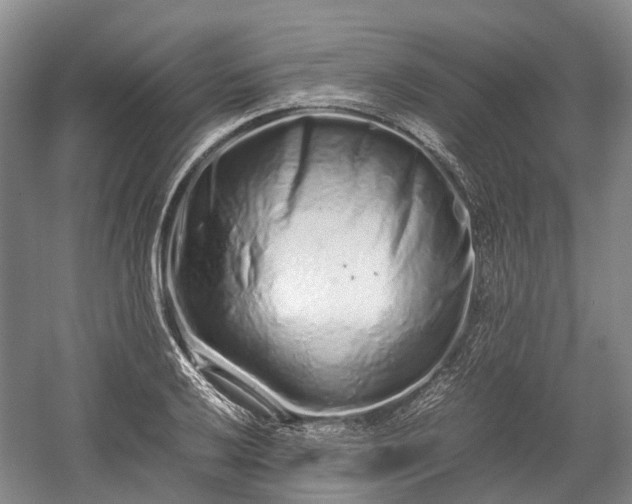 X0000059801032200510241324