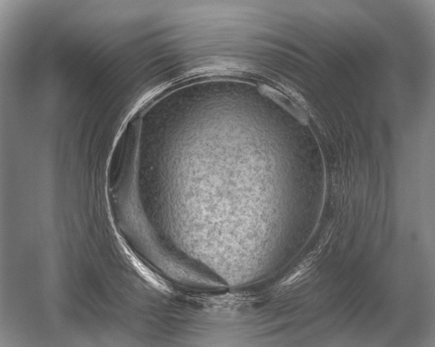 X0000059801034200510241324